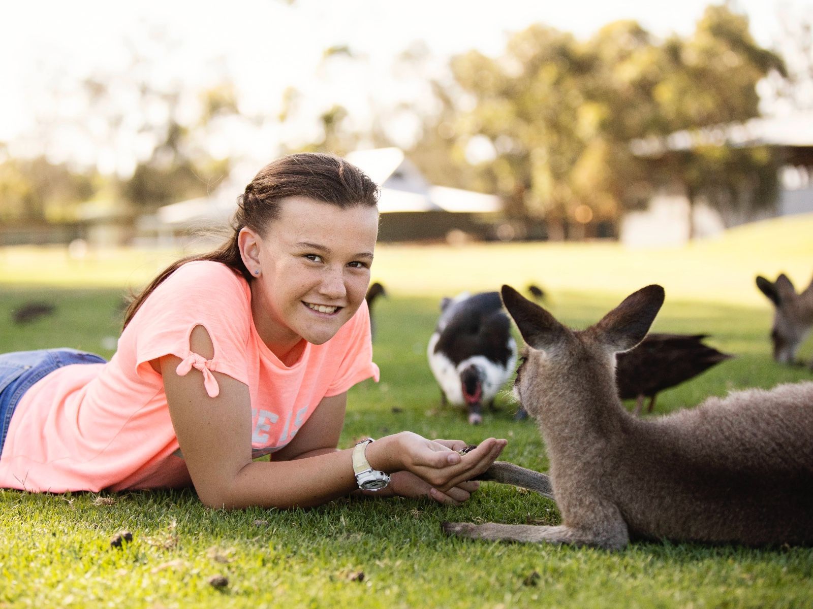 Young Girl With Baby Kangaroo, Virtual Zoo Tour