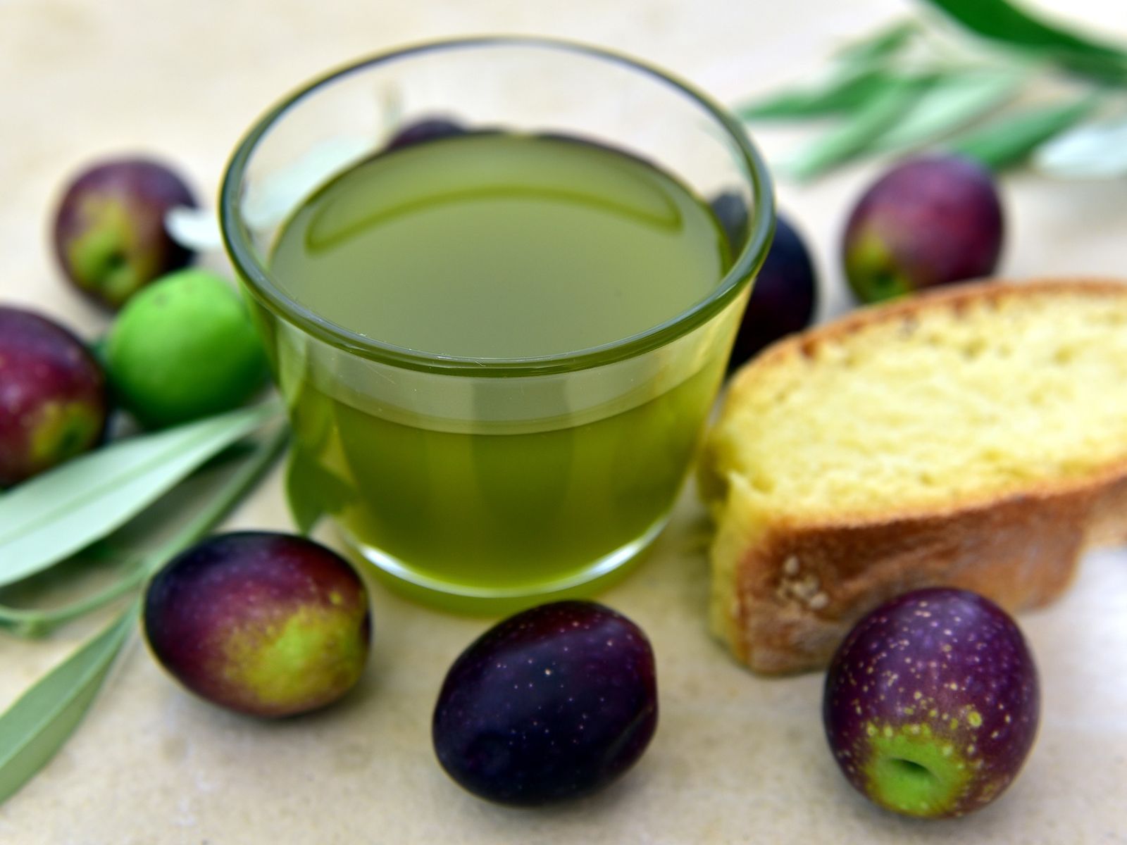 Spanish olive oil tasting cup