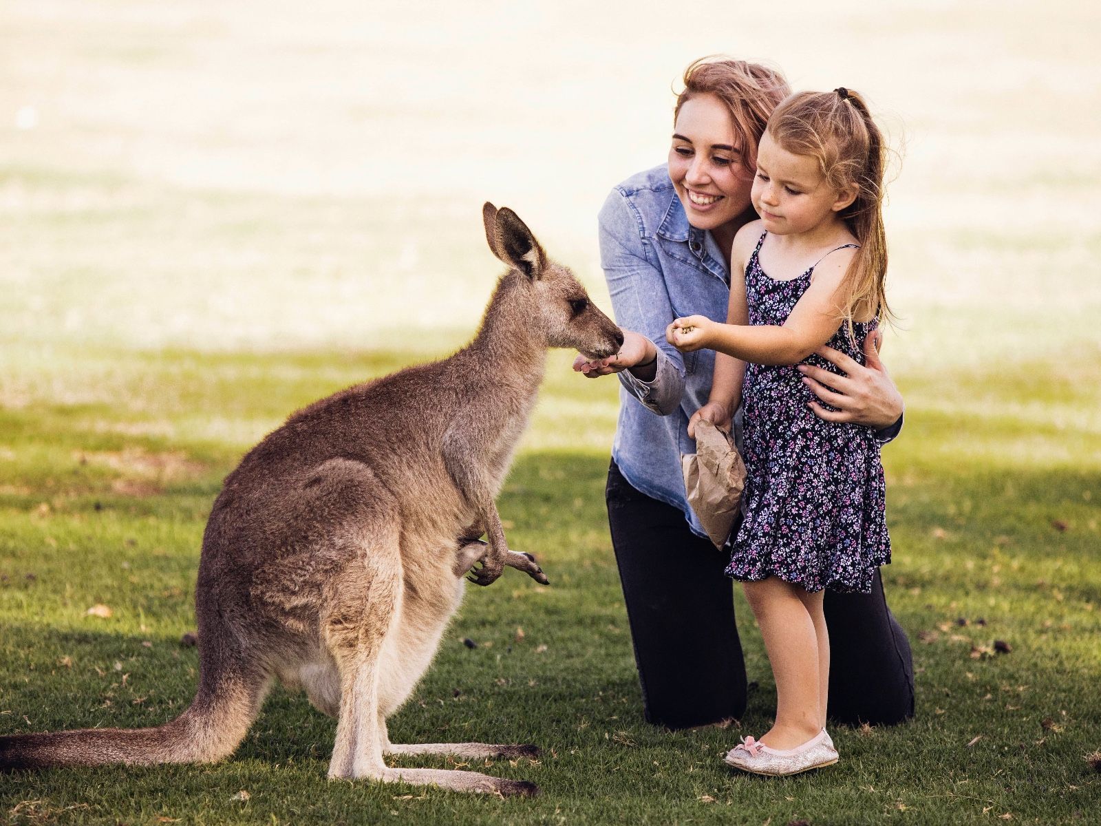 Virtual Zoo Tour, Young Girl And Woman With Kangaroo